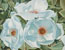 光途`06image1